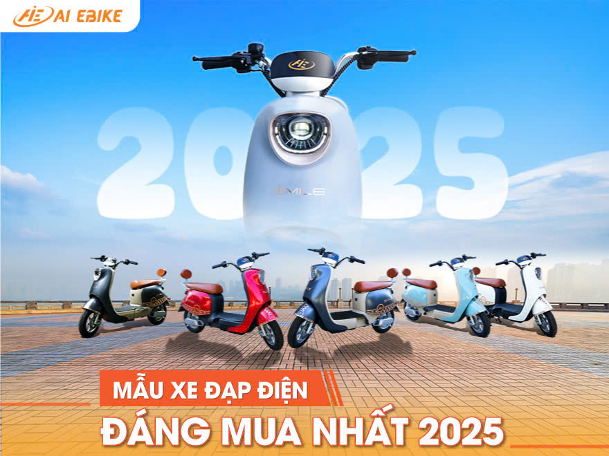 Mẫu Xe Đạp Điện Nào Đáng Mua Nhất Năm 2025 ?