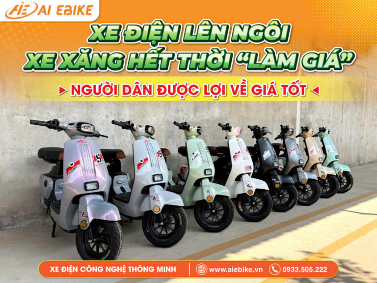 XE XĂNG KHÔNG THỂ LÀM GIÁ ĐỘC ĐOÁN: KỶ NGUYÊN XE ĐIỆN ĐANG MANG LẠI QUYỀN LỰC CHO NGƯỜI TIÊU DÙNG