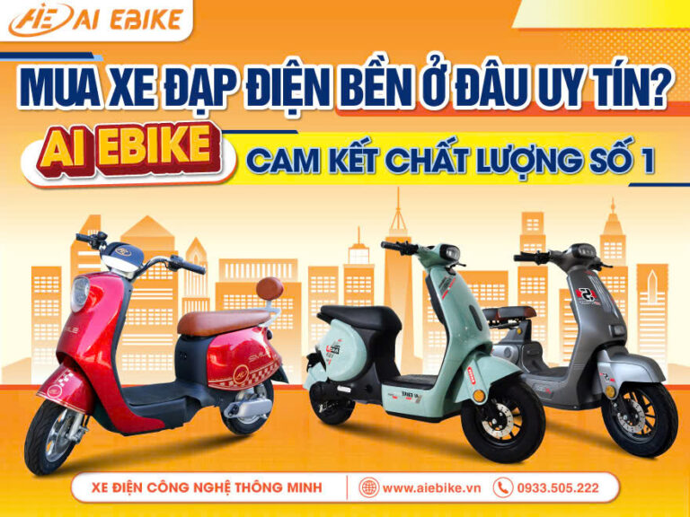 Mua xe đạp điện bền ở đâu uy tín? AI EBIKE cam kết chất lượng số 1