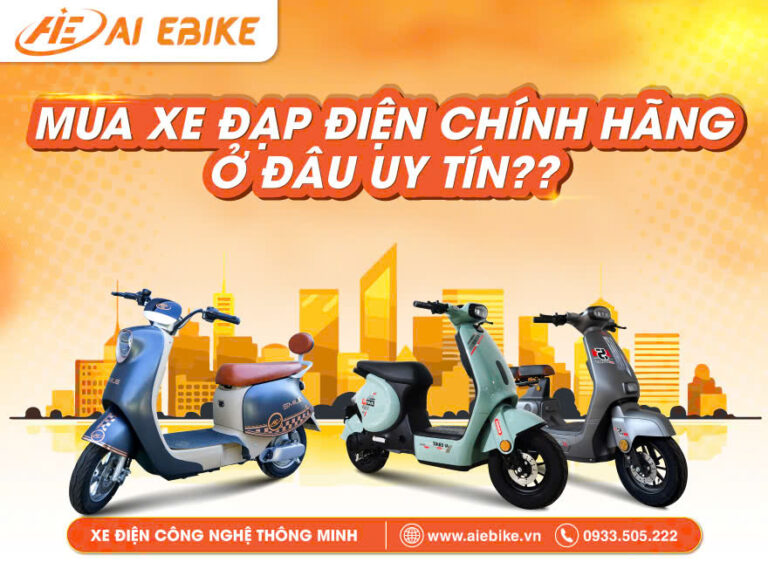 Mua xe đạp điện chính hãng ở đâu uy tín?