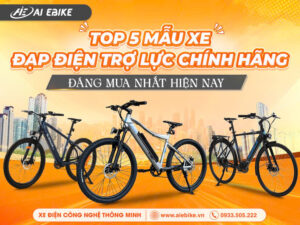 xe đạp trợ lực