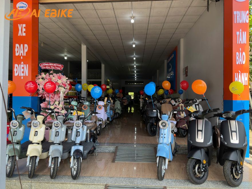 Mua xe đạp điện màu đen chính hãng ở đâu