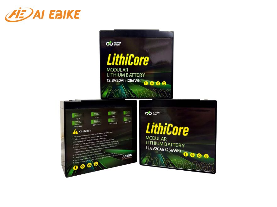 Pin Lithium có trọng lượng nhẹ, tuổi thọ dài hơn và cho quãng đường đi xa hơn so với ắc quy