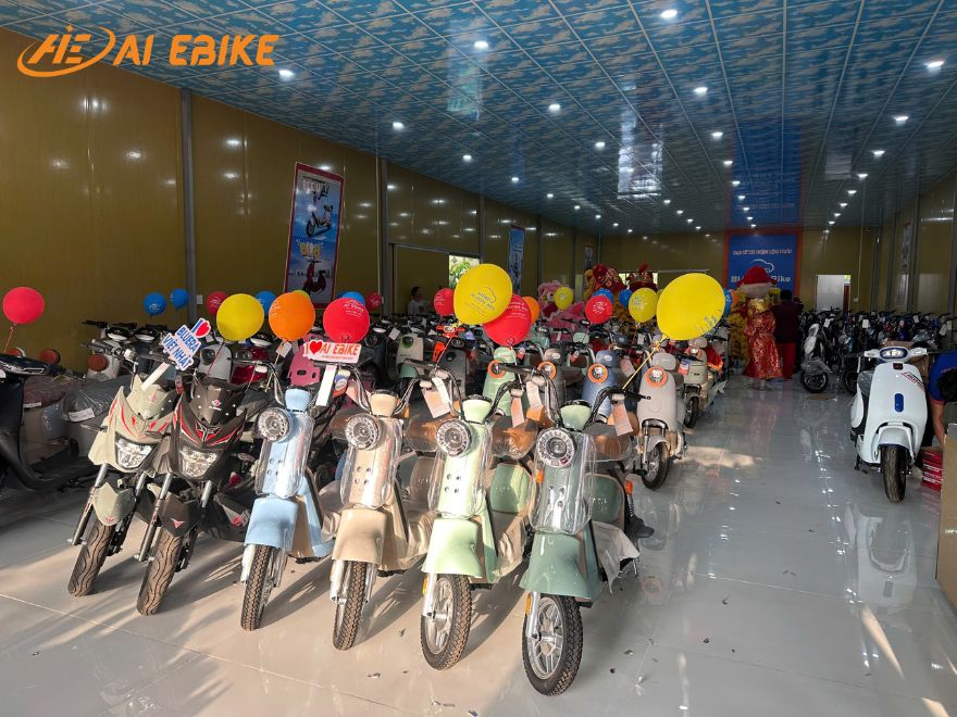 Xe đạp điện chính hãng, đa dạng mẫu mã tại AI EBIKE